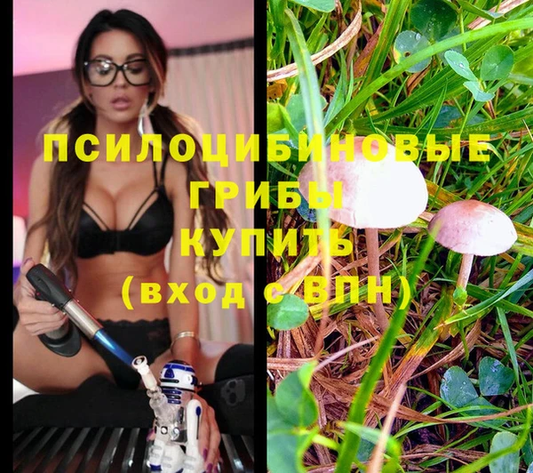 дистиллят марихуана Горняк